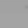 fsdev