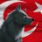 TURAN